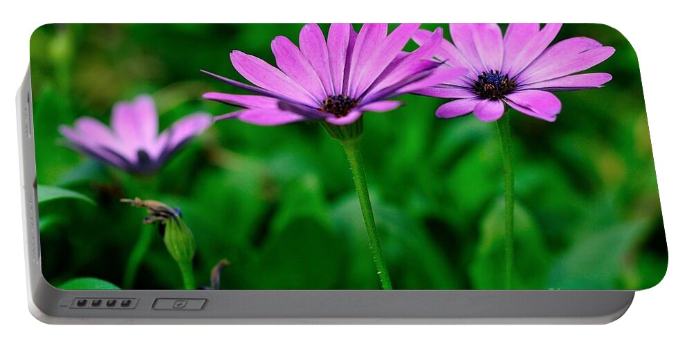 Purple Portable Battery Charger featuring the photograph Purple Flowers by Joe Ng