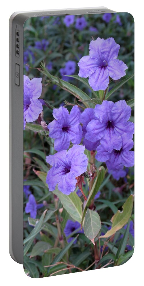Flowers Portable Battery Charger featuring the photograph Purple Flowers by Laurel Powell