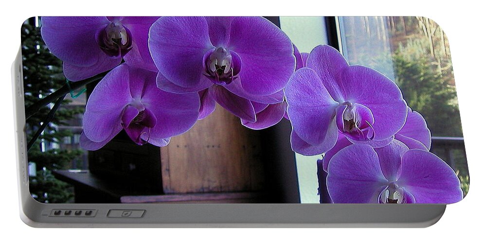 Flowers Portable Battery Charger featuring the photograph Purple Orchid by AJ Schibig