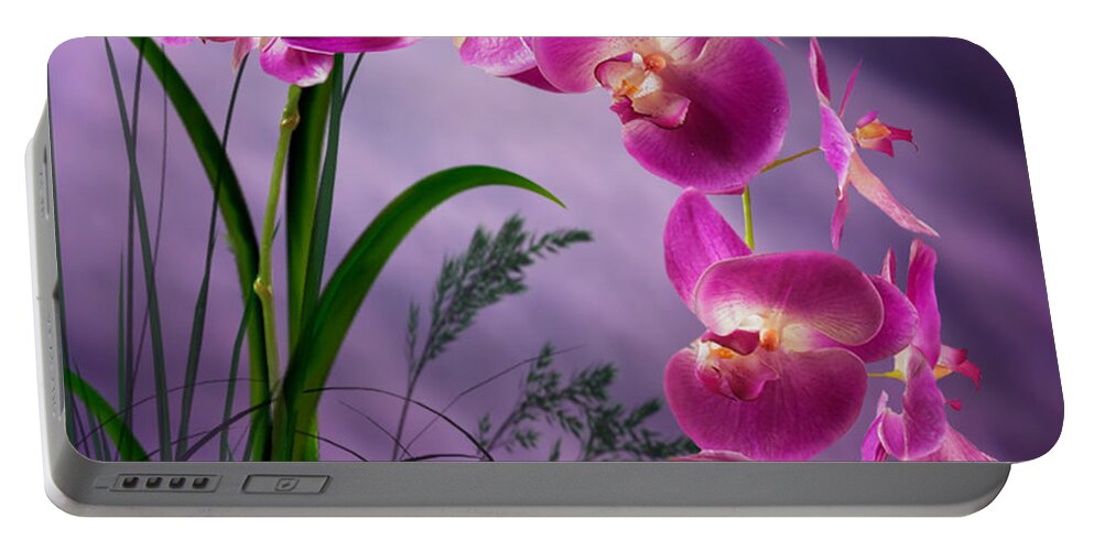 Orchids Portable Battery Charger featuring the digital art Purple Orchid by Nina Bradica