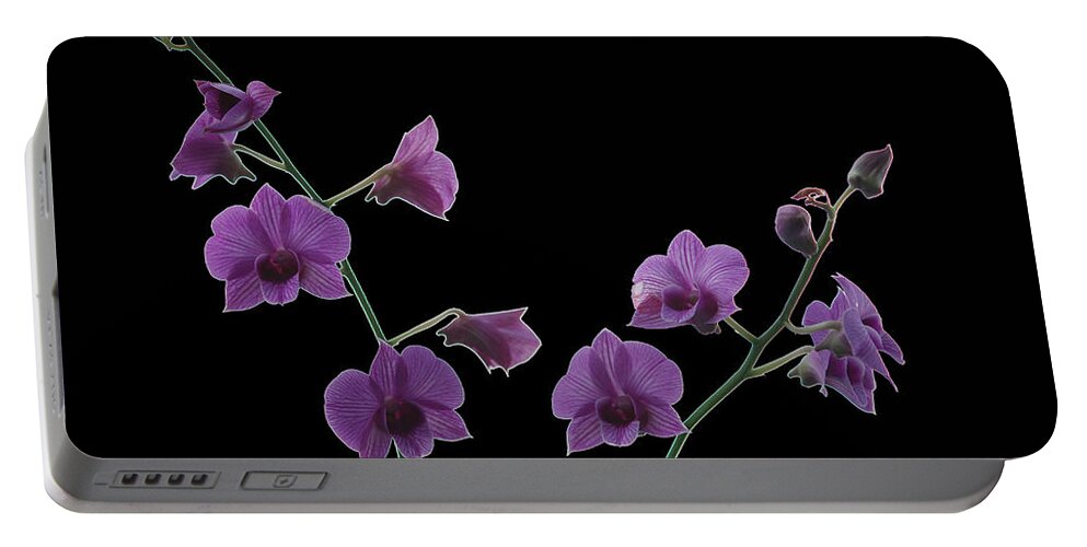 Orchid Portable Battery Charger featuring the photograph Purple Orchids On Black by Janice Adomeit