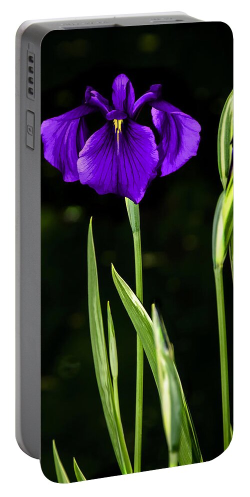 Beautiful Portable Battery Charger featuring the photograph Purple Perfection - Japanese Iris - Painting by Penny Lisowski