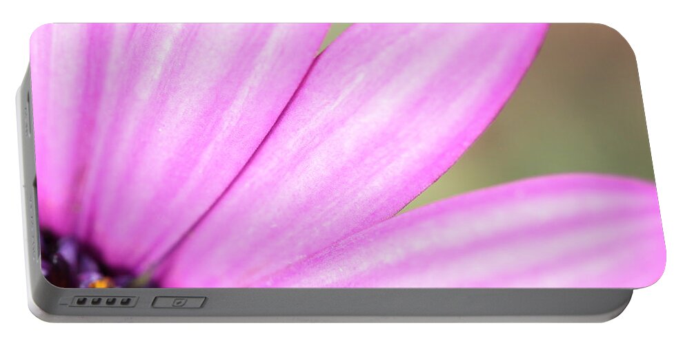 Flower Portable Battery Charger featuring the photograph Purple Petals by Shoal Hollingsworth