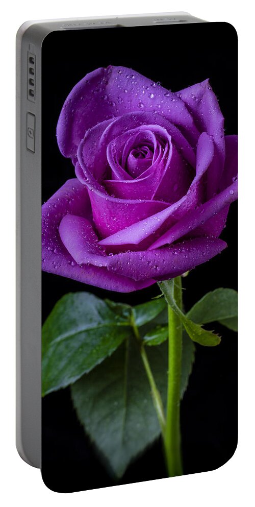 Purple Portable Battery Charger featuring the photograph Purple Rose by Garry Gay