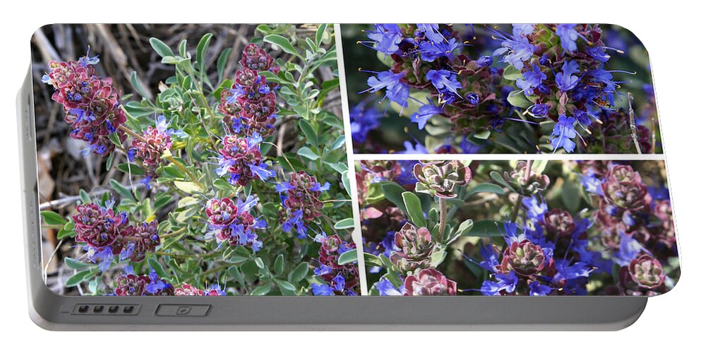 Purple Sage Portable Battery Charger featuring the photograph Purple Sage Collage by Carol Groenen