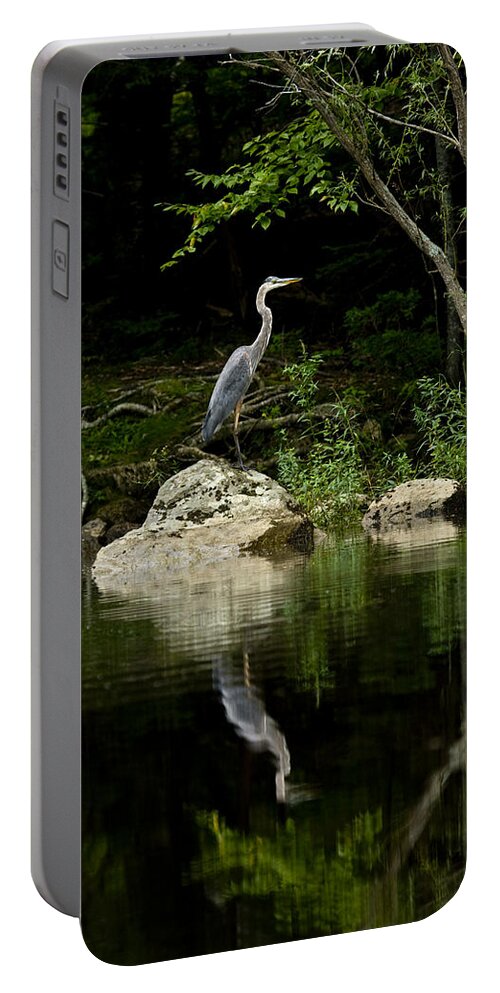 Blue Heron Portable Battery Charger featuring the photograph Quiet Waters by Brent L Ander