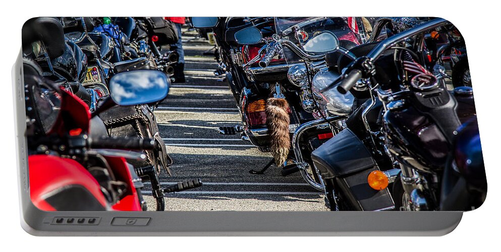 Motorcycles Portable Battery Charger featuring the photograph Raccoon Tail by Eleanor Abramson