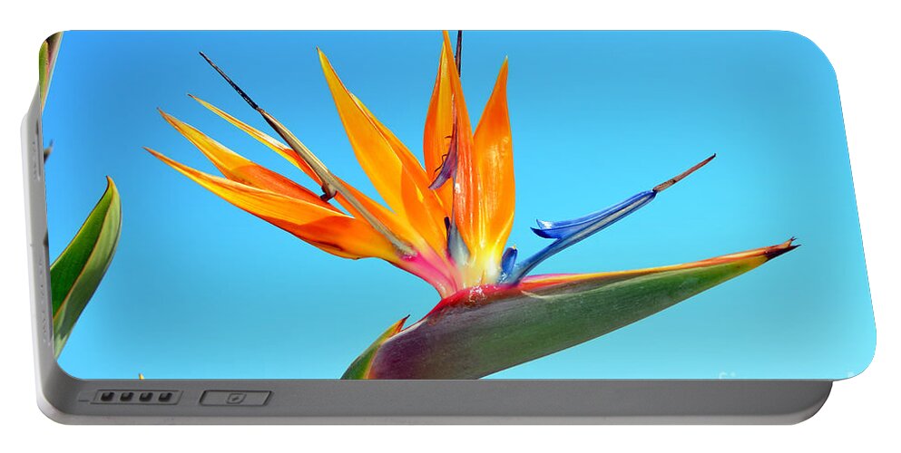 Bird Of Paradise Portable Battery Charger featuring the photograph Radiant Bird in the Sky by Debra Thompson