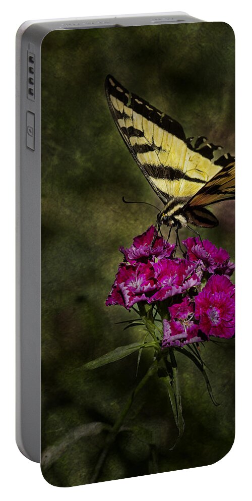 Butterfly Portable Battery Charger featuring the photograph Ragged Wings by Belinda Greb