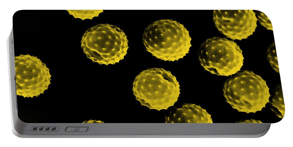Botany Portable Battery Charger featuring the photograph Ragweed Pollen Sem by David M. Phillips