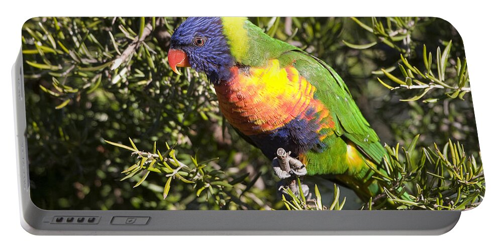 Australia Portable Battery Charger featuring the photograph Rainbow Lorikeet by Steven Ralser