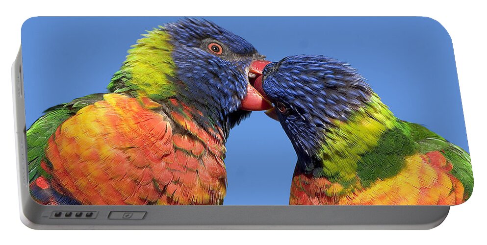 Lorikeets Portable Battery Charger featuring the photograph rainbow lorikeets, Canberra, Australia by Steven Ralser
