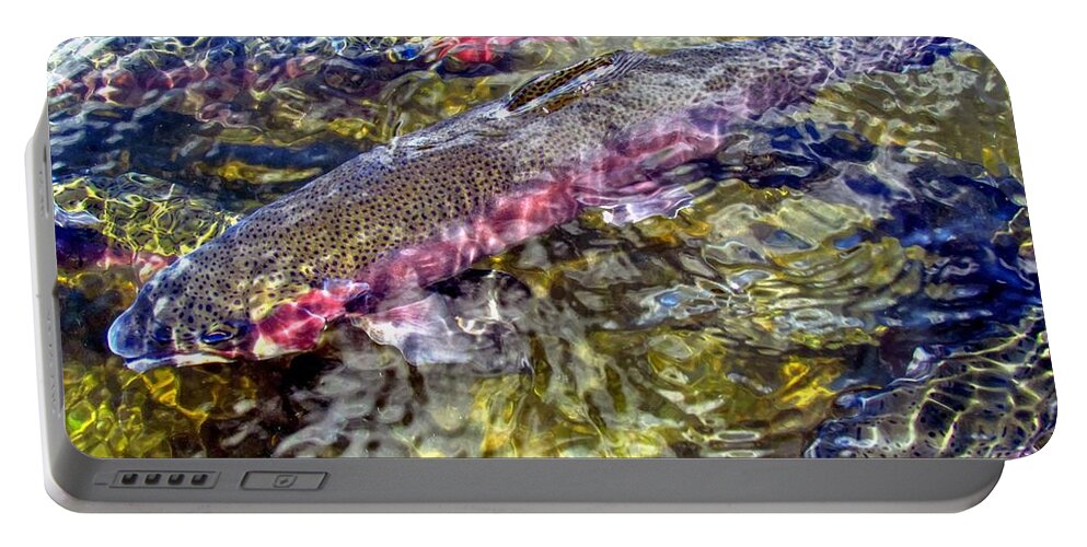 Rainbow Trout Portable Battery Charger featuring the photograph Rainbow Trout by Carol Montoya