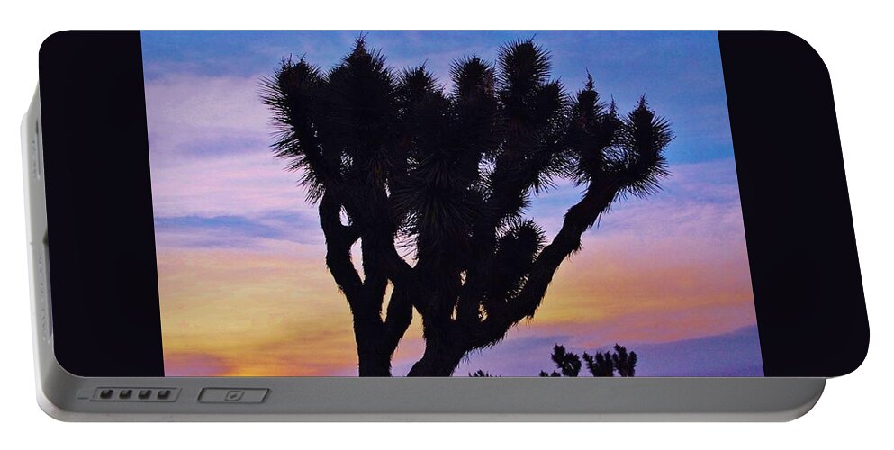 High Desert Portable Battery Charger featuring the photograph Rainbow Yucca by Angela J Wright