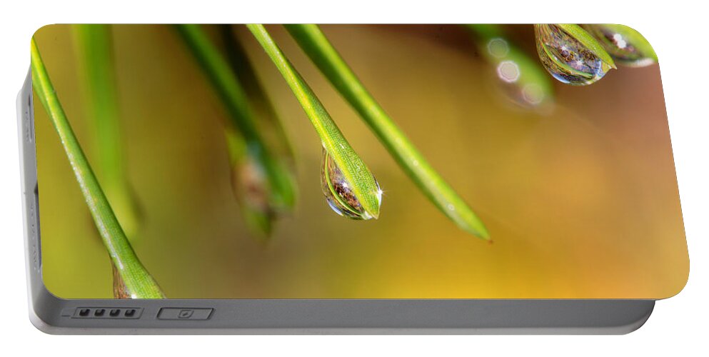 Raindrops Clinging To Pine Needles Portable Battery Charger featuring the photograph Raindrops Clinging To Pine Needles by Daniel Reed