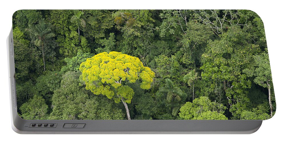 Feb0514 Portable Battery Charger featuring the photograph Rainforest Canopy Yasuni Ecuador by Pete Oxford