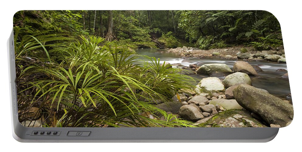 Feb0514 Portable Battery Charger featuring the photograph Rainforest Ferns Along River Sabah by Sebastian Kennerknecht