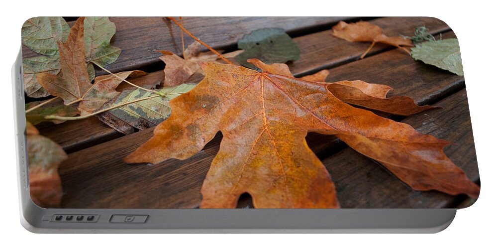 Fall Portable Battery Charger featuring the photograph Rainy Day Bench by Gwyn Newcombe