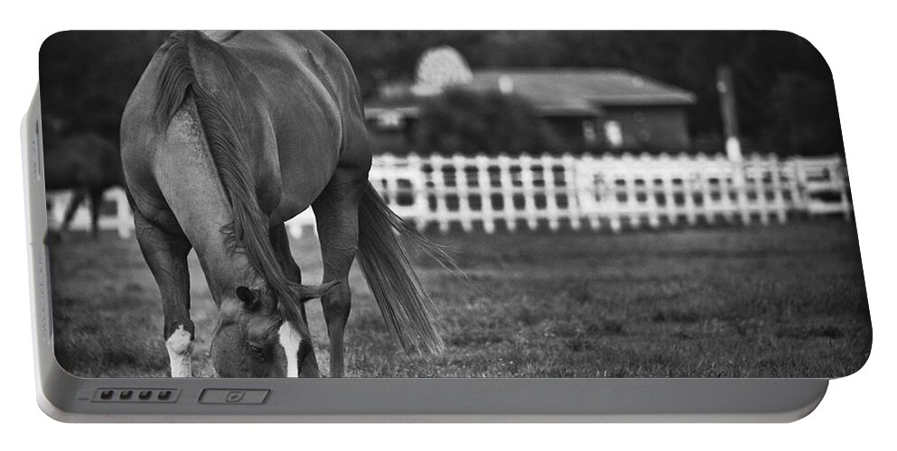 Ranch Portable Battery Charger featuring the photograph Ranch Horse by Bradley R Youngberg