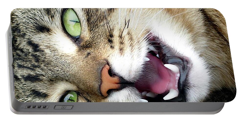 Cat Picture Portable Battery Charger featuring the photograph Randig by Elaine Berger