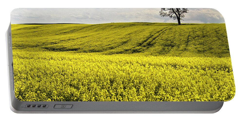 Heiko Portable Battery Charger featuring the photograph Rape landscape with lonely tree by Heiko Koehrer-Wagner