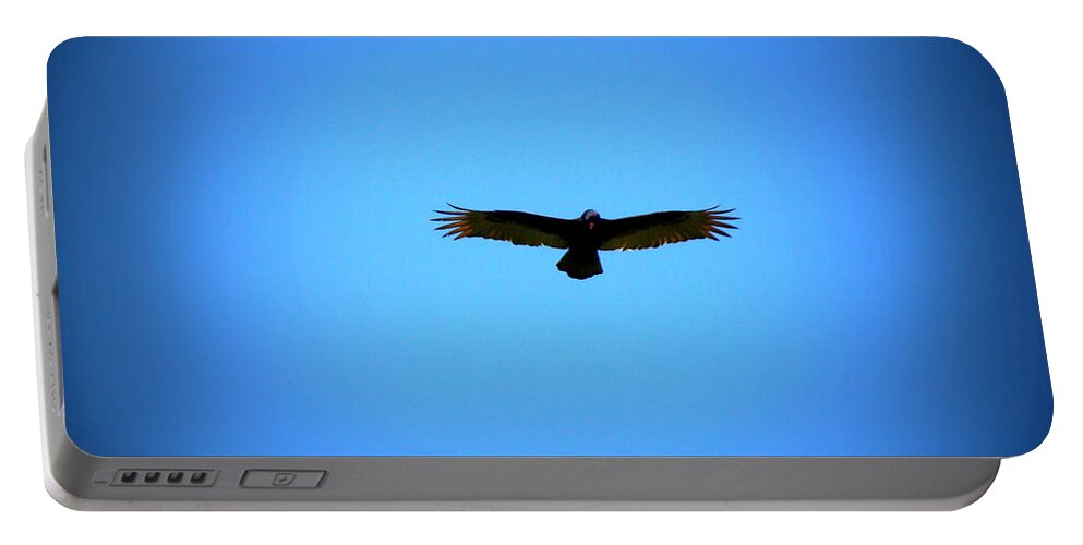 Turkey Vulture Portable Battery Charger featuring the photograph Raptor on the hunt by Lisa Rose Musselwhite
