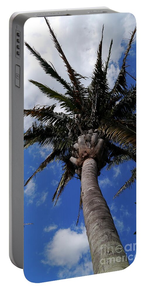Palm Portable Battery Charger featuring the photograph Reaching For The Sky by Christiane Schulze Art And Photography