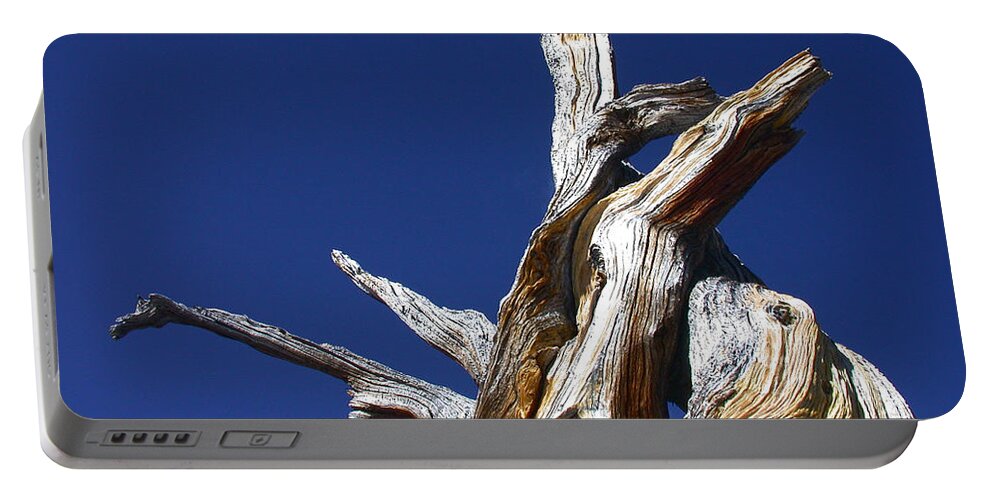 Tree Portable Battery Charger featuring the photograph Reaching Out by Shane Bechler