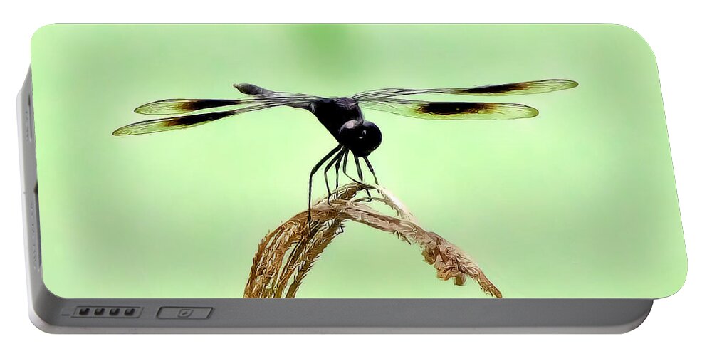 Dragonfly Photograph Portable Battery Charger featuring the photograph Ready for TakeOff by Lucy VanSwearingen