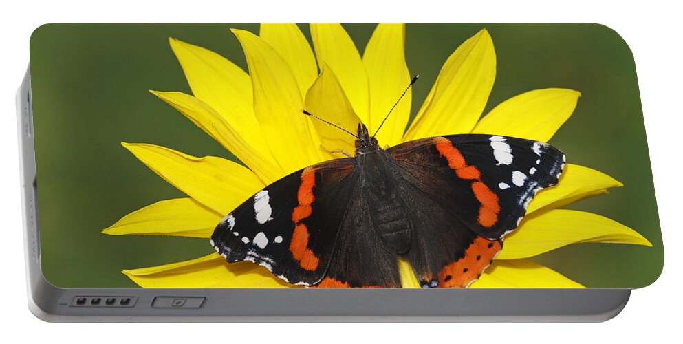 Silvia Reiche Portable Battery Charger featuring the photograph Red Admiral Butterfly Netherlands by Silvia Reiche