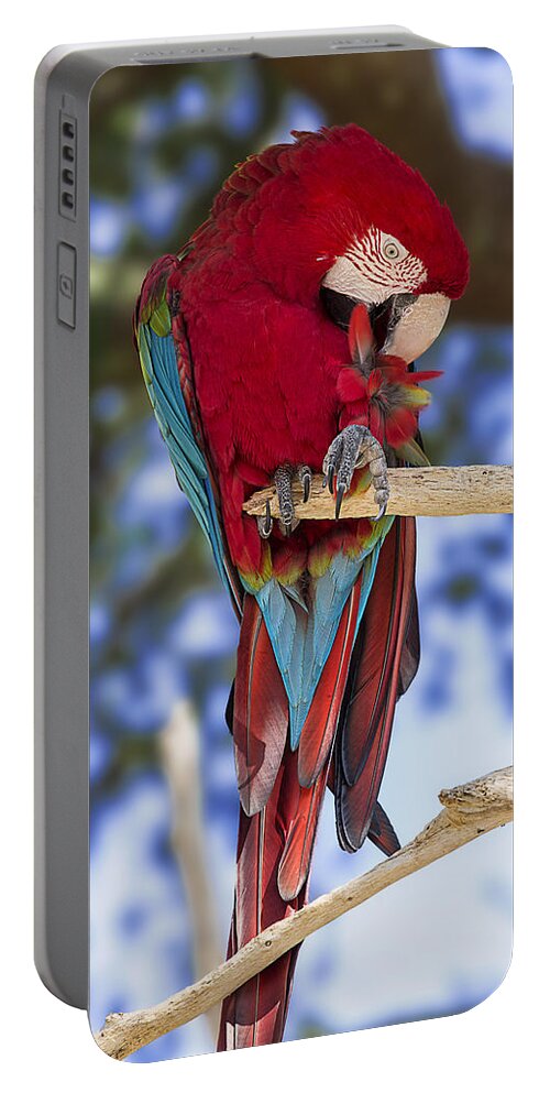 Bird Portable Battery Charger featuring the photograph Red and Green Macaw by Bill and Linda Tiepelman