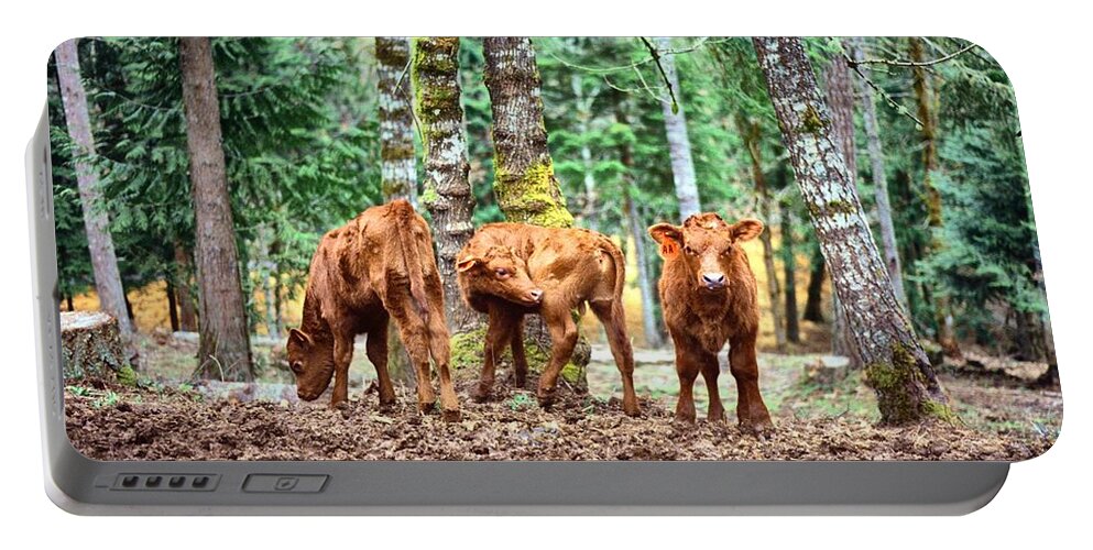  Portable Battery Charger featuring the pyrography Red Angus Calves by Larry Campbell