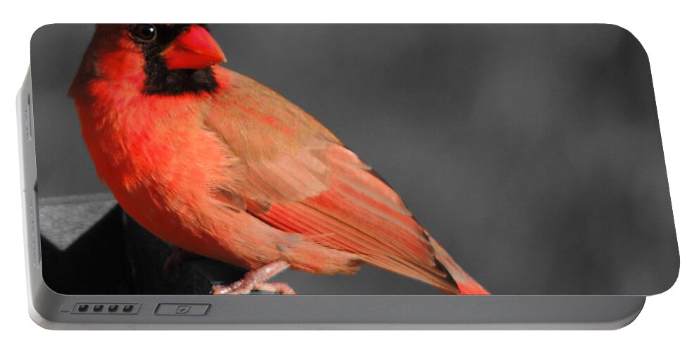 Cardinal Portable Battery Charger featuring the photograph Red Bird by Mim White