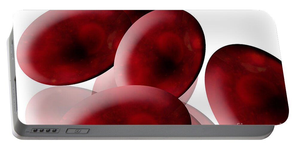 Anatomy Portable Battery Charger featuring the photograph Red Blood Cells by Sigrid Gombert