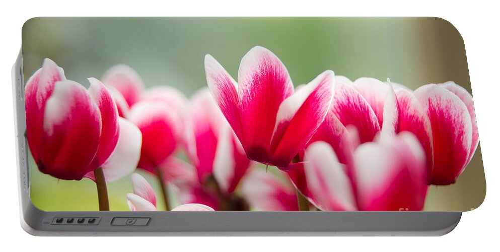 Photograph Portable Battery Charger featuring the photograph Red Blossoms by Ivy Ho