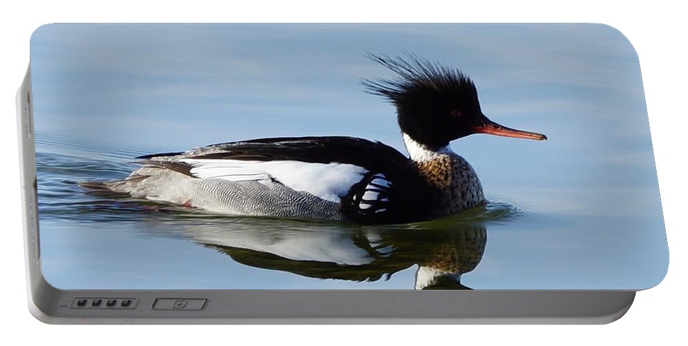 Duck Portable Battery Charger featuring the photograph Red Breasted Merganser by Steven Clipperton