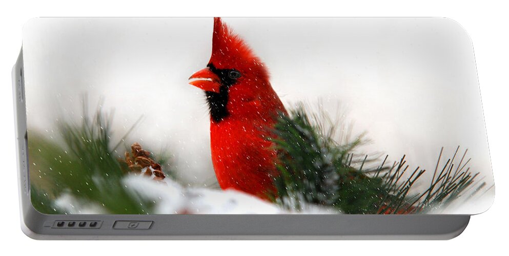 Cardinal Portable Battery Charger featuring the photograph Red Cardinal by Christina Rollo