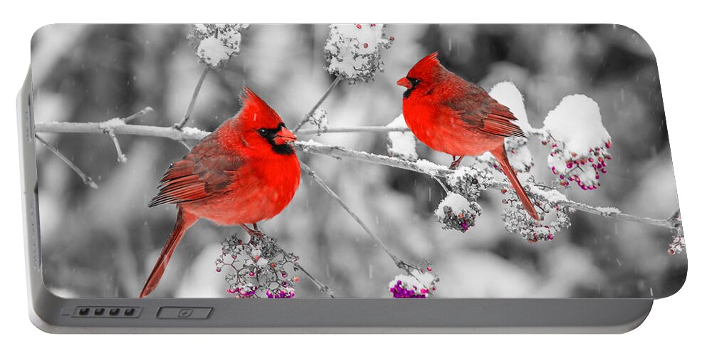 Cardinal Portable Battery Charger featuring the photograph Red Cardinals in the Snow by Anthony Sacco