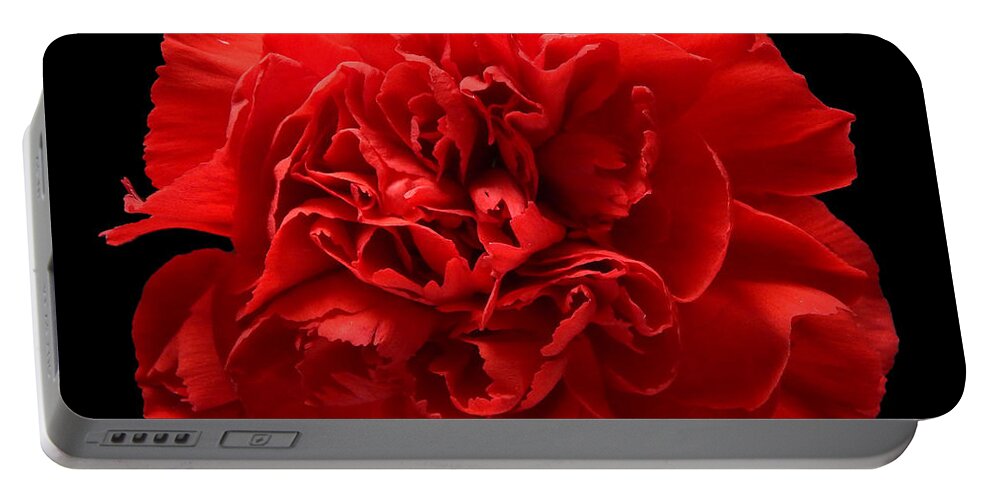 Flowers Portable Battery Charger featuring the photograph Red Carnation Still Life Flower Art Poster by Lily Malor