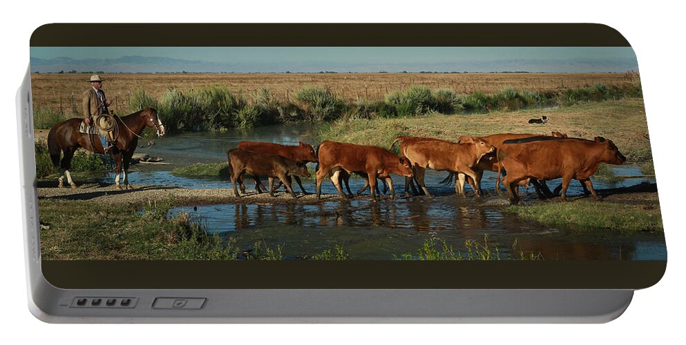 Cattle Portable Battery Charger featuring the photograph Red Cattle by Diane Bohna