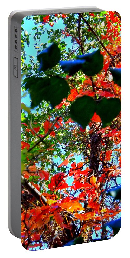 Red Creeper 3 Portable Battery Charger featuring the photograph Red Creeper 3 by Darren Robinson