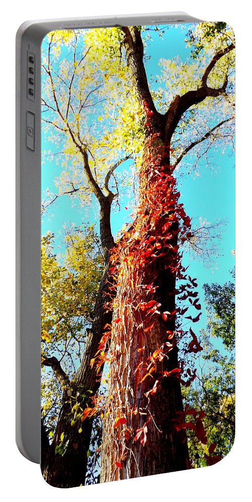 Red Creeper Portable Battery Charger featuring the photograph Red Creeper by Darren Robinson