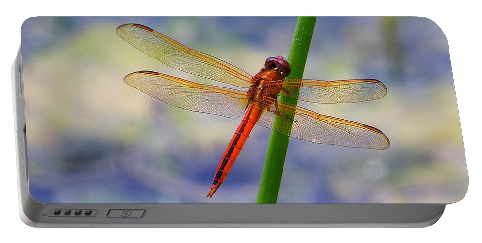 Nature Portable Battery Charger featuring the photograph Red Dragon by Judy Wanamaker