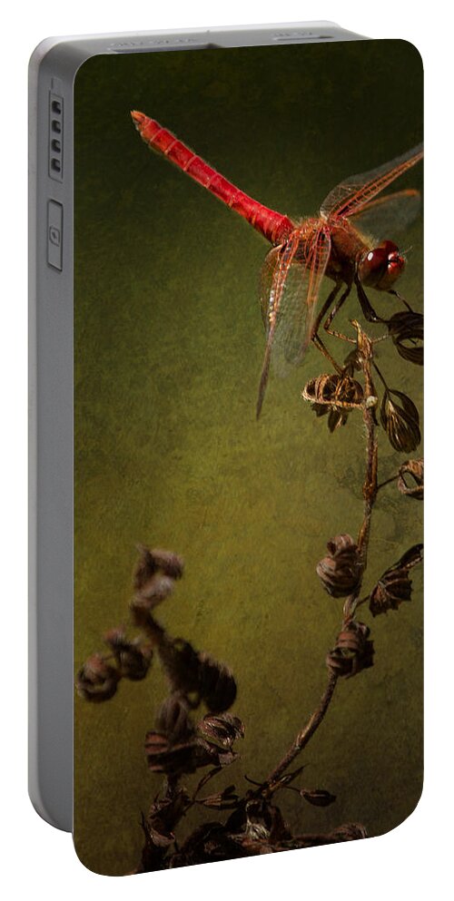 Red Dragonfly Portable Battery Charger featuring the photograph Red Dragonfly on a Dead Plant by Belinda Greb