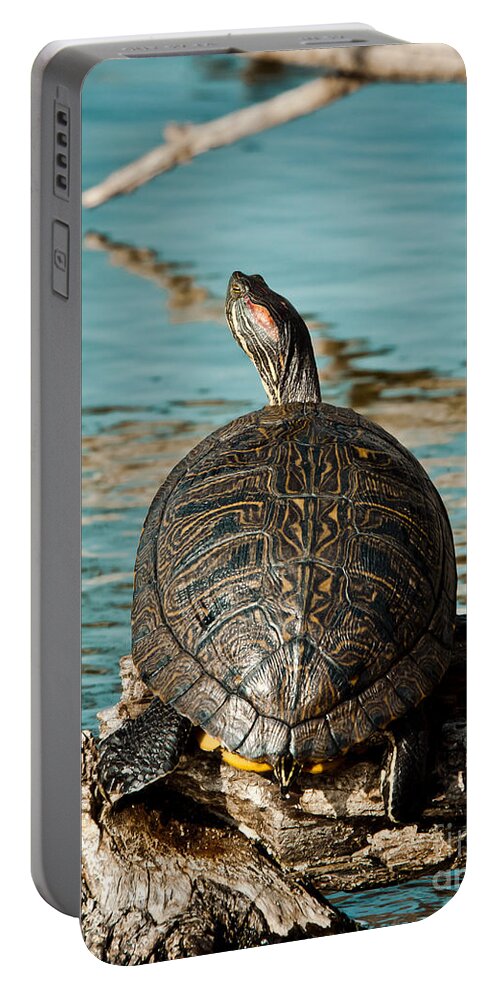 Turtle Portable Battery Charger featuring the photograph Red Eared Slider XXL by Robert Frederick
