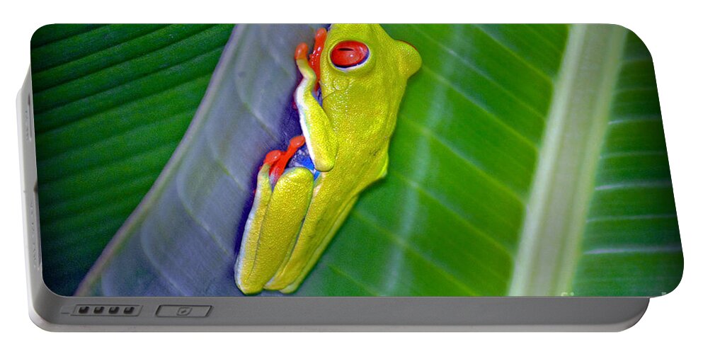 Redeyed Portable Battery Charger featuring the photograph Red-Eyed Tree Frog by Gary Keesler