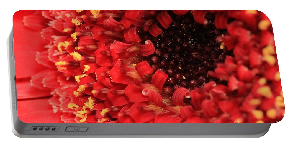 Gerbera Portable Battery Charger featuring the photograph Red Flower Macro by Amanda Mohler