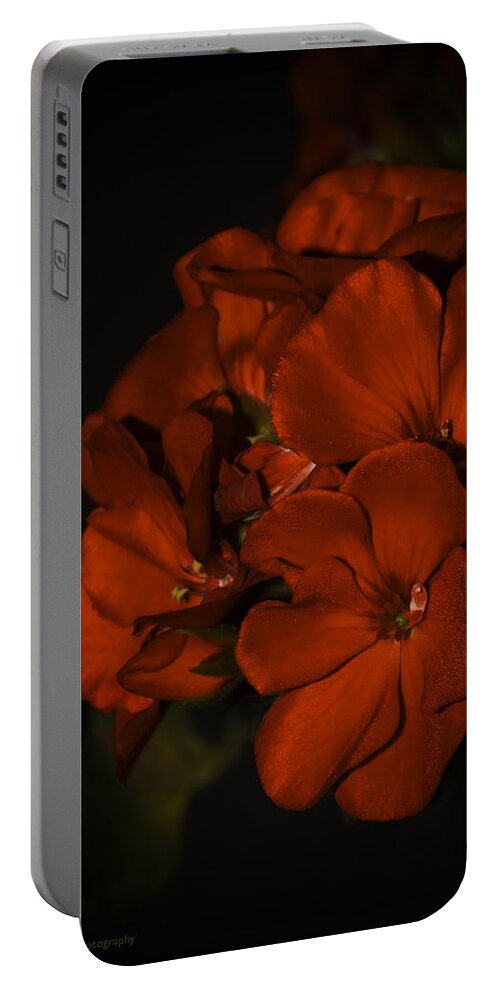 Red Portable Battery Charger featuring the photograph Red Flowers in Evening Light by Lucinda Walter