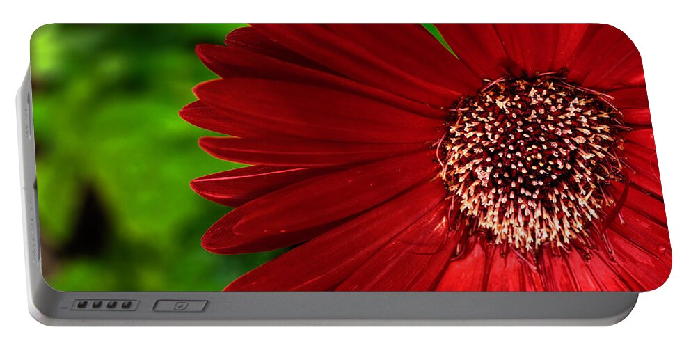 Gerber Daisy Portable Battery Charger featuring the photograph Red Gerber Daisy by John Magyar Photography