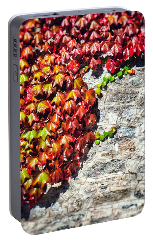 Atumn Portable Battery Charger featuring the photograph Red ivy on wall by Silvia Ganora